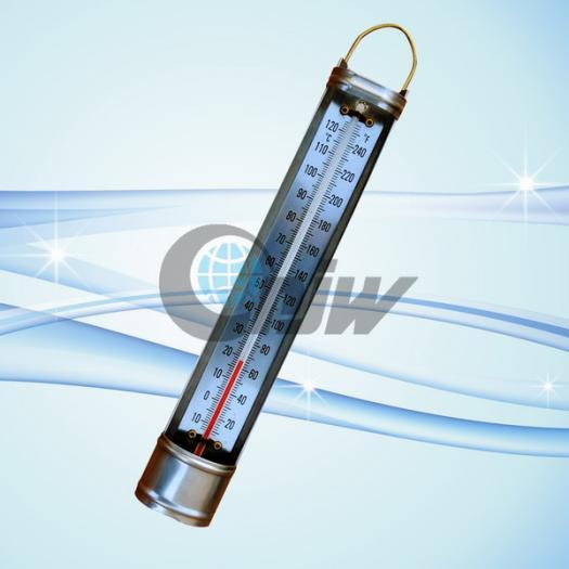 Scoop Thermometer